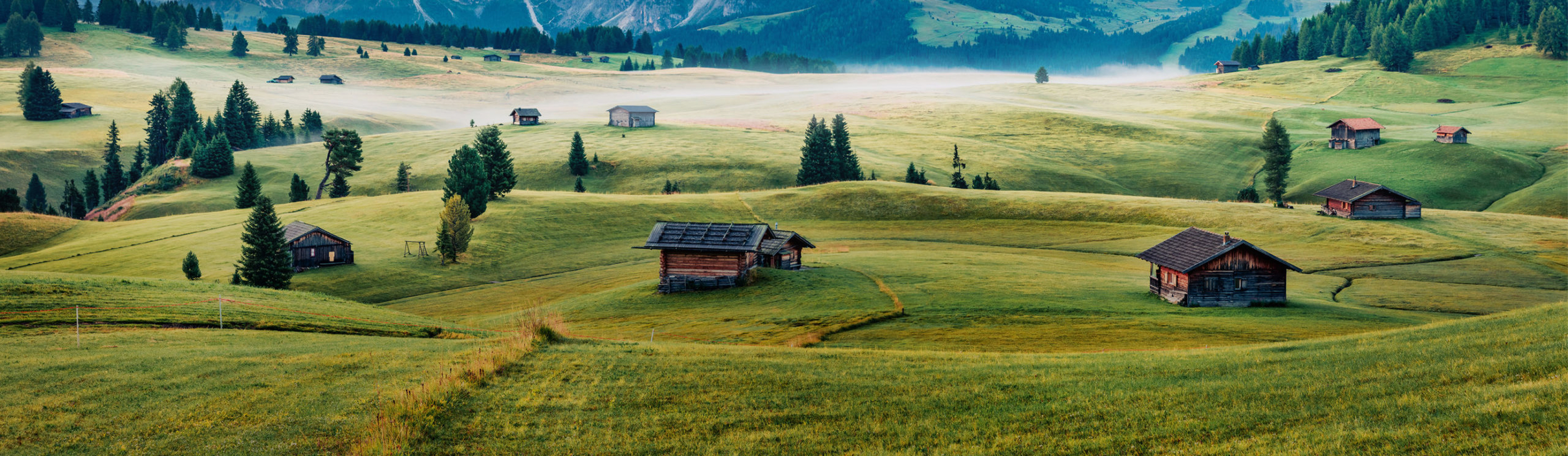 Local landscape