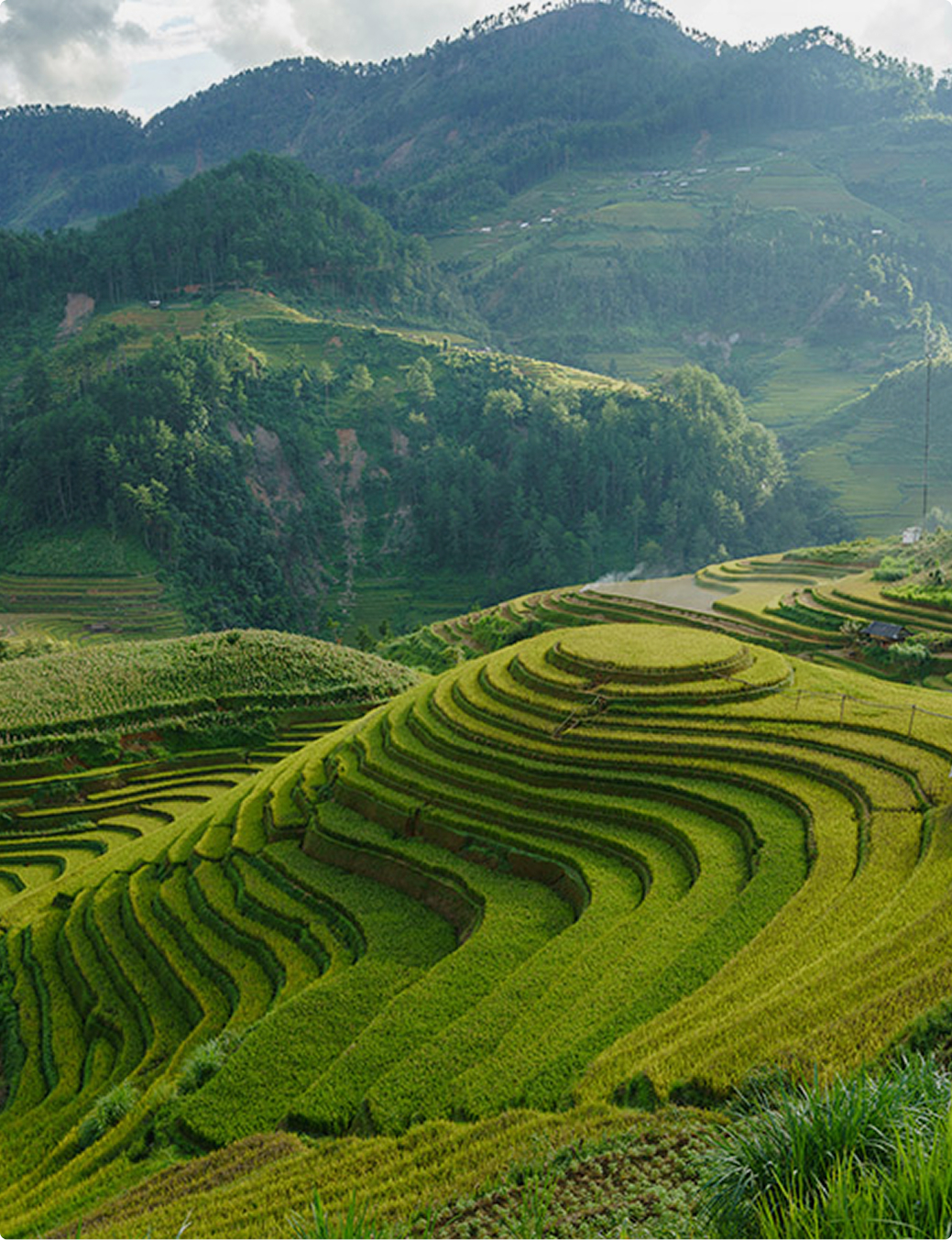 Vietnam