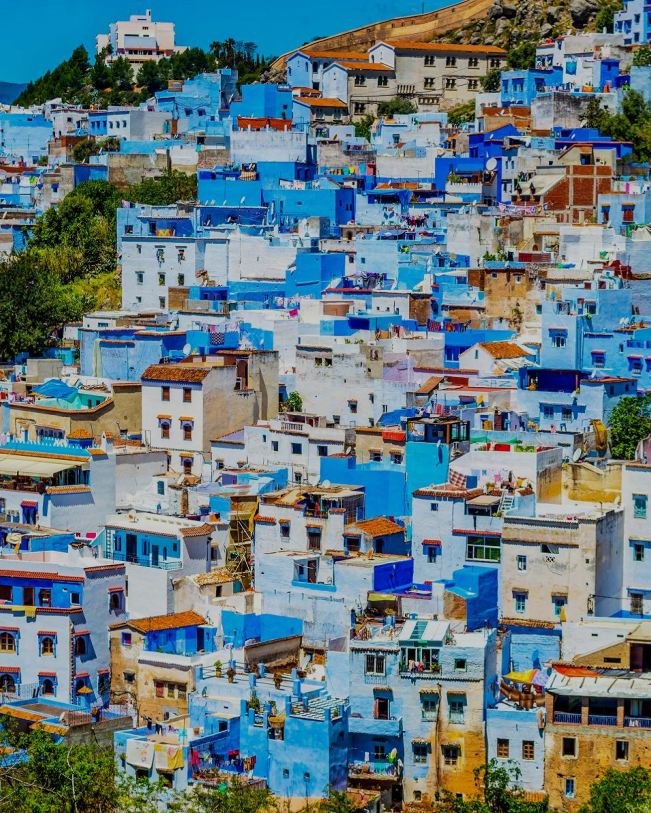 Blue and white houses stacked through the Chefchaouen medina